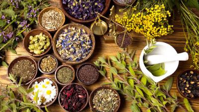 Fitoterapia - Omeopatia - Botanica - Biologia