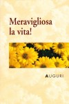 LIBRETTO MERAVIGLIOSA LA VITA