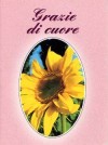 LIBRETTO GRAZIE DI CUORE